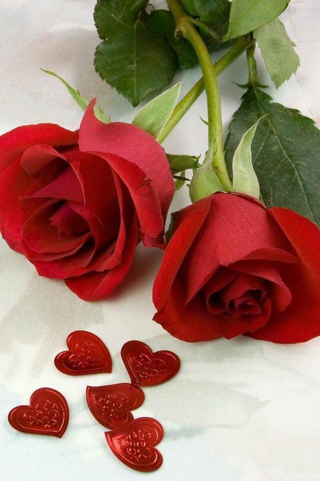 najee31's profile picture. Author of Ain't No Drama Like Bedroom Drama