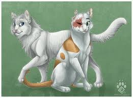 Sorry I don't talk much :/ my name is Brightheart. My mate is Cloudtail and we have a beautiful daughter named Whitepaw. I love my family and my clan.
