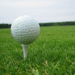 2012-2013 Conference Champs.  Official Twitter page of the CUW Falcons Women's Golf