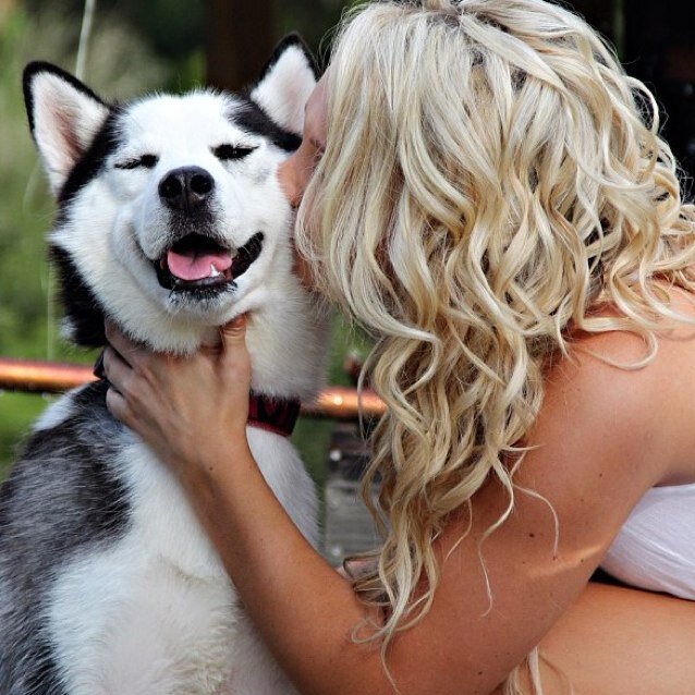 Also run @xoIslandBlonde. Tweet requests. Let me know if you plan to use an avi, I'll take it down!