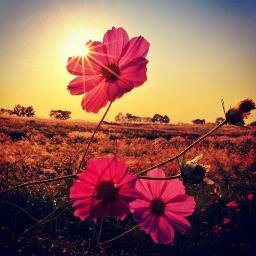 J'adore lire les #blogs féminins et je m'intéresse de près aux articles beauté. Je retweete tous les articles qui m'intéressent ;)