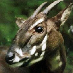 Community Development and Conservation