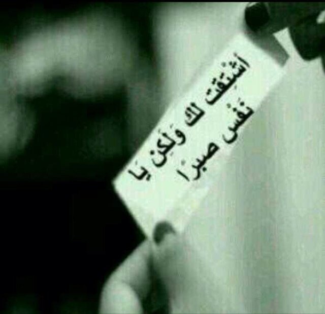 نقرتين لعرض الصورة في صفحة مستقلة