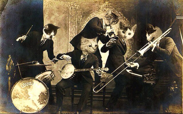 bandgrrlprobs's profile picture. Just your typical girl with the everyday challanges of being in marching band
DIAHY SMELLS