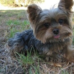 kymfurano's profile picture. 