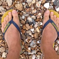 Simon Webster (@simonwebster74) 's Twitter Profile Photo