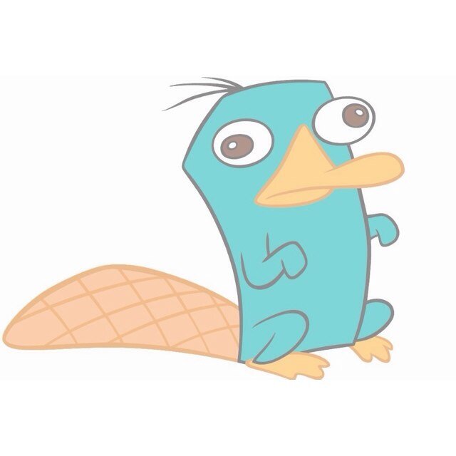 Idk I'm a platypus