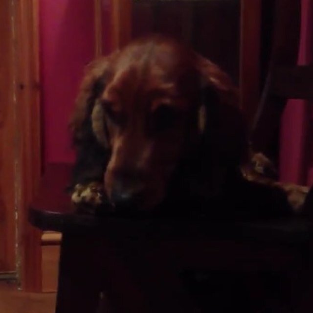 whatsdownthere's profile picture. seriously though what the fuck is down there
(not the real)