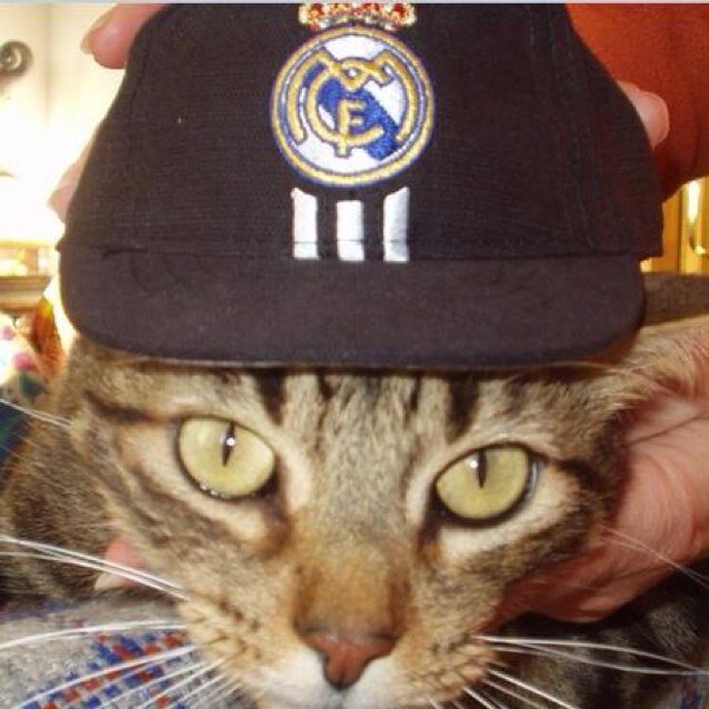 JoeDirdam's profile picture. 1956. Madridista desde 1970. Carlos Santillana, Dark Side of the Moon, El Padrino... Aquí, solo opiniones particulares.