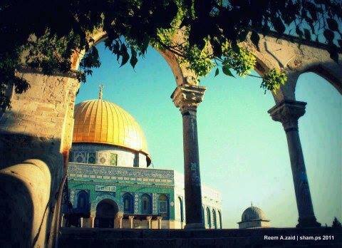 صحفية_ محررة في موقع #فلسطينيو_الخارج، الموقع الإلكتروني للمؤتمر الشعبي لفلسطينيي الخارج ( https://t.co/FOk9D08Mxe )
