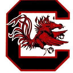 GO GAMECOCKS,
