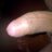 Profile Picture of Todo Lo D Mi Bombero (@@GanasConsuelo) on Twitter