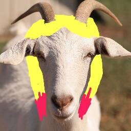 Hi, this is the official Twitter for @ddlovato's goat Billy. #GOATICS and #LOVATICS are together. I know you love my pink goat hair. BEEEEEE BEEEEE BEEEEEE