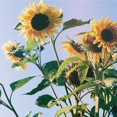 n111 (@n1117) | Twitter