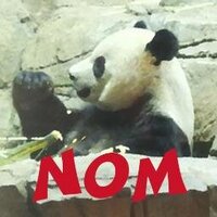 Travel Noms (@travelnomsguide) Twitter profile photo