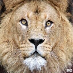 Harlingen | 45 jaar | Fotografe | Ondernemer | 3 katten | Samenwonend https://t.co/kfHWTET83s