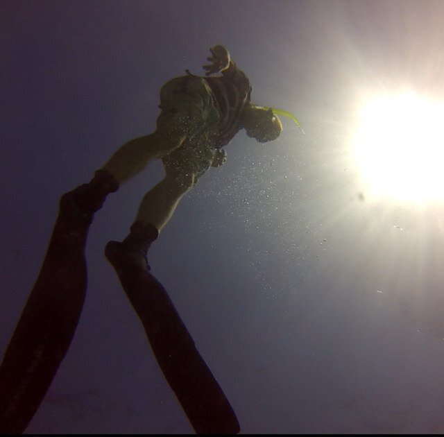 Henrybell14's profile picture. 