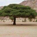 ابوعلي (@0506007312) Twitter