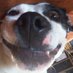 David Jeffries (@davidjeffries4) Twitter profile photo David Jeffries (@davidjeffries4) Twitter profile photo