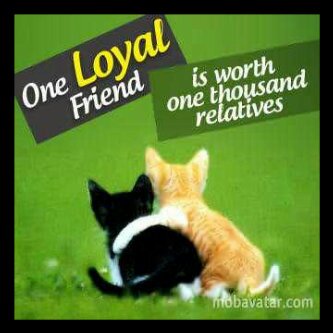My first priority is my friend...cos a friend in Ɲeed is a friend indeed.