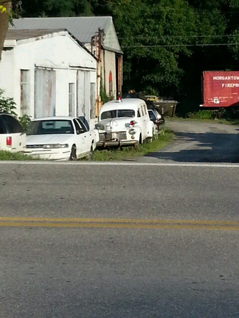 AlfaifiMohammed's profile picture. accounting major,CPA,SACPA, 🇸🇦🇸🇦