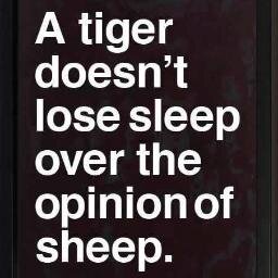 scottfink's profile picture. having a snoop, are we? 👀