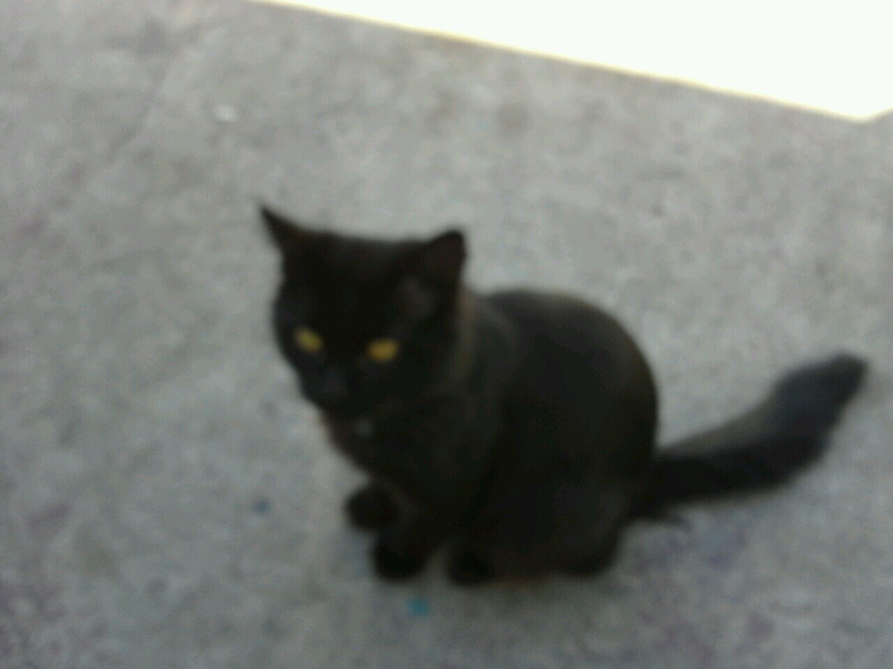 shawncc120705's profile picture. 