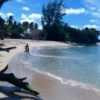 Mel Ramsay (@alfamel69) 's Twitter Profile Photo