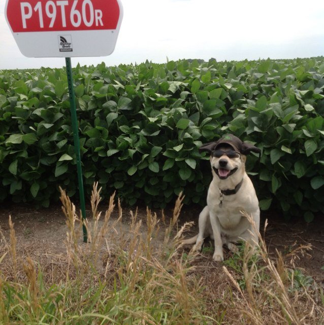 srfrericks's profile picture. 