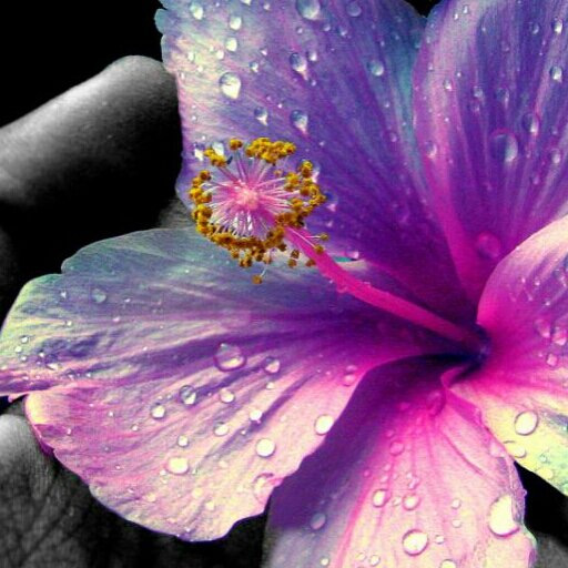 lrsmith99's profile picture. 