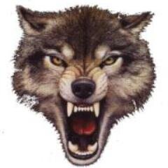 LongToothPckNws's profile picture. Your Source for Keeping up with the Long Tooth Pack!