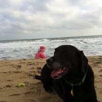 Randy Feldner (@randyfeldner) 's Twitter Profile