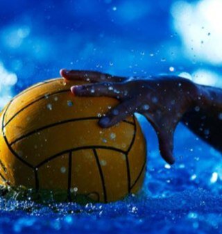 pololife143's profile picture. Water polo is life❤