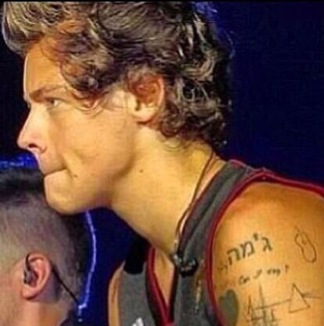 I'm Harry..I'm 17 and I am a cheerleader. I only love Niall. Bye