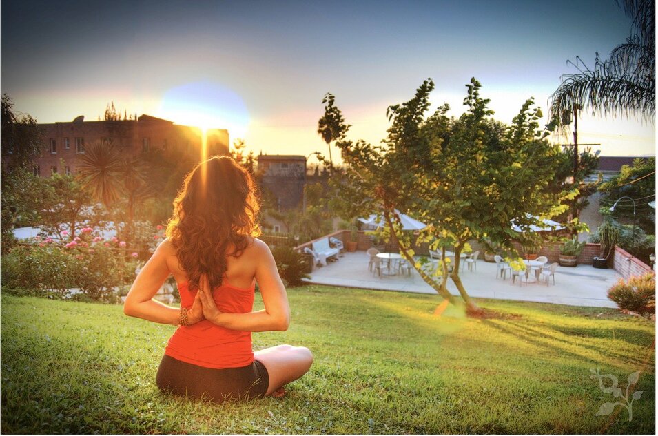 HopesGreens's profile picture. Your resource for plant-based eating and mindful living. Sign up for free e-mail updates: http://t.co/oVzmoo0Lrq