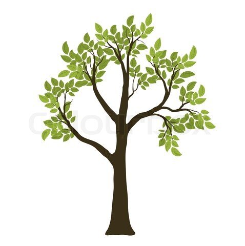 treeocoder Profile Picture