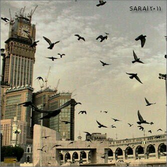 ‏سبحان الله وبحمده, سبحان الله العظيم.