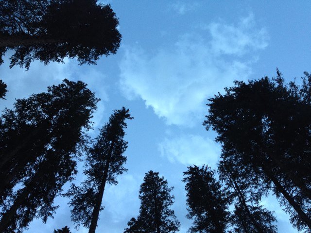 LonnieLeto's profile picture. 