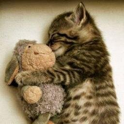 CHONGSPHIN's profile picture. 