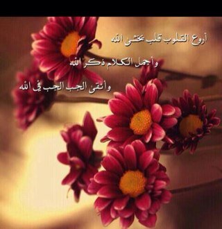 الحياه جميله اجمل مافيها تقوى الله~~