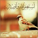 مطر الزهراني (@0554640746) Twitter
