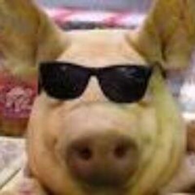 オモロイぶたまんのプロフィール写真