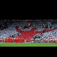 Andy Hayes (@andy_hayes1) 's Twitter Profile