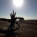 random joys (@freudig_freunde) Twitter profile photo