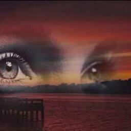 maryamshakoory's profile picture. 