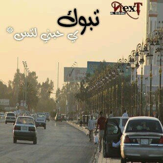 excelpro03's profile picture. 