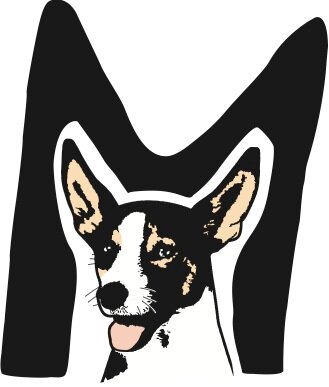 Madokoe's profile picture. Hund, Familienoberhaupt, lebt auf einer Finca auf Mallorca, schreibt Blogs, seine Familie Madokö besteht aus 6 Hunden und 3 Katzen,
schreibt Bücher, fröhlich