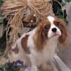 brutemal's profile picture. Оля спит она устала...не мешайте всё достало...