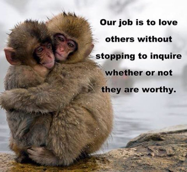 kimbaer's profile picture. 