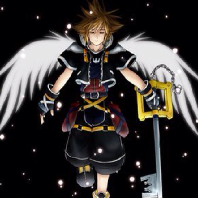 My name's Sora. I'm the Keyblade's master. Have you seen my friends Kairi and Riku?
